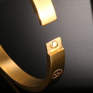 Trendy Stainless Steel Luxury Brand Bangle Bracelet