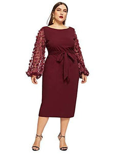 SheIn Women&#39;s Plus Elegant Mesh Contrast Appliques Sleeve Stretchy Bodycon Pencil Dress