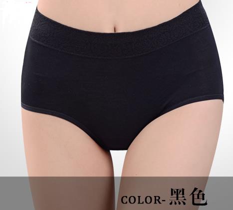 Intimates Briefs High Waist Modal Women Underwear