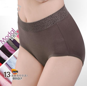 Intimates Briefs High Waist Modal Women Underwear