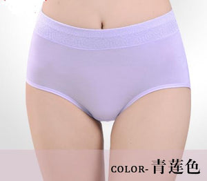 Intimates Briefs High Waist Modal Women Underwear