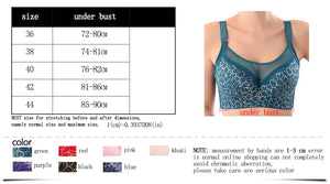 Lace Plus Size Bra Push Up Bra For Women C D E Big Brassiere Black nude for dropshipping