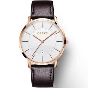 OLEVS Mens Leather strap Watches Top Brand Luxury Military Sport  Wrist watch Men  Smart Calendar Automatic Watches Male Clock