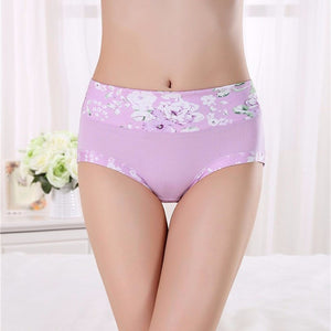 3pcs/lot Plus Size Women Underwear Panties Seamless