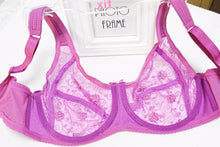 Load image into Gallery viewer, Hot Selling Embroidery Large Size  Bras For Women