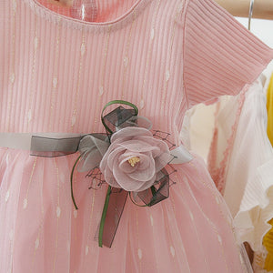 Newborn Baby Girl Dress for Girl 1 Year Birthday  Dresses