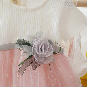 Newborn Baby Girl Dress for Girl 1 Year Birthday  Dresses