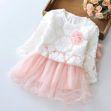 Load image into Gallery viewer, New Hot princess dress Infant