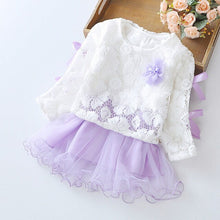 Load image into Gallery viewer, New Hot princess dress Infant