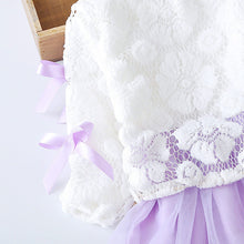 Load image into Gallery viewer, New Hot princess dress Infant