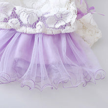 Load image into Gallery viewer, New Hot princess dress Infant