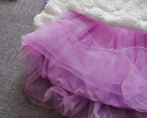 New Hot princess dress Infant